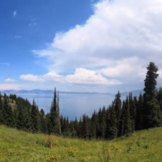 Altai & Kanas Collection